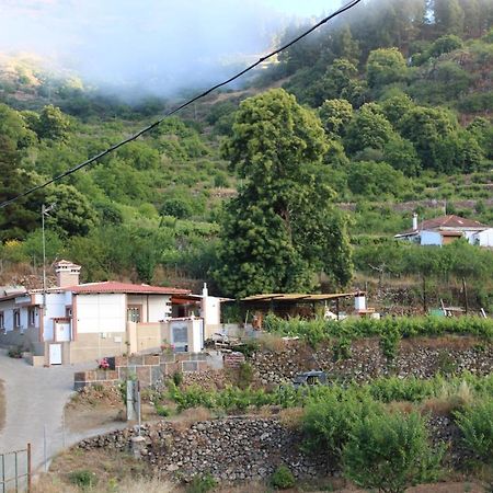 Finca El Cole Villa ลาสปัลมาส เด กรานคานาเรีย ภายนอก รูปภาพ